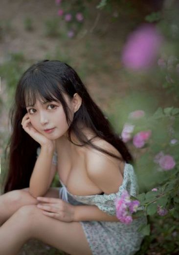 国家宝藏